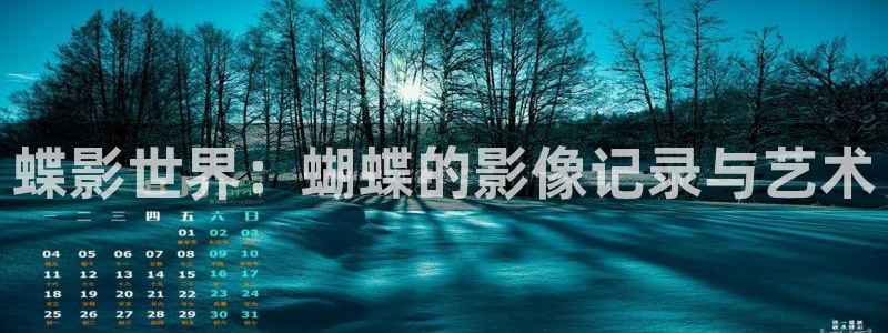 韓國電影理論劇：蝶影世界：蝴蝶的影像記錄與藝術