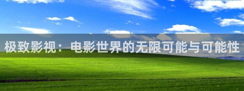 日本理論電影2828：極致影視：電影世界的無(wú)限可能與可能性