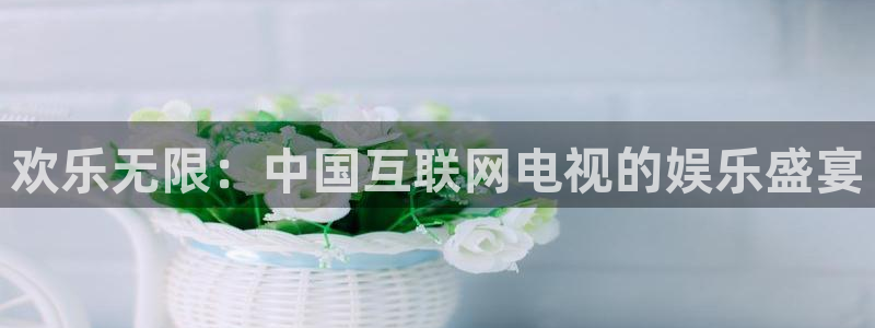 秋霞電影韓國理論在線觀看：歡樂無限：中國互聯網電視的娛樂盛宴