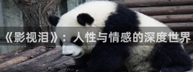 神馬影院理論頻道在線觀看：《影視淚》：人性與情感的深度世界