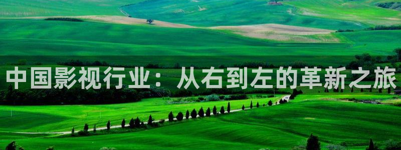 韓國電影理論大全：中國影視行業：從右到左的革新之旅